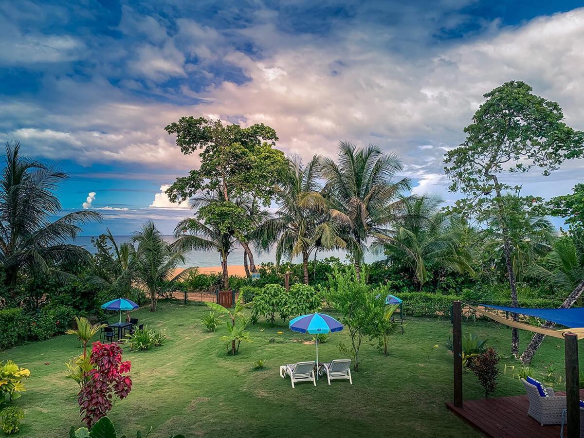 Oasis Bluff Beach Бокас-дель-Торо Экстерьер фото
