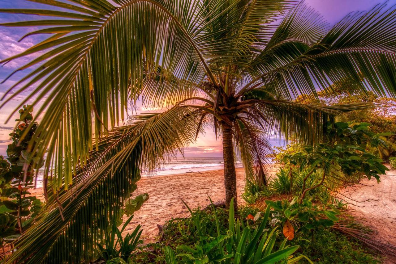 Oasis Bluff Beach Бокас-дель-Торо Экстерьер фото