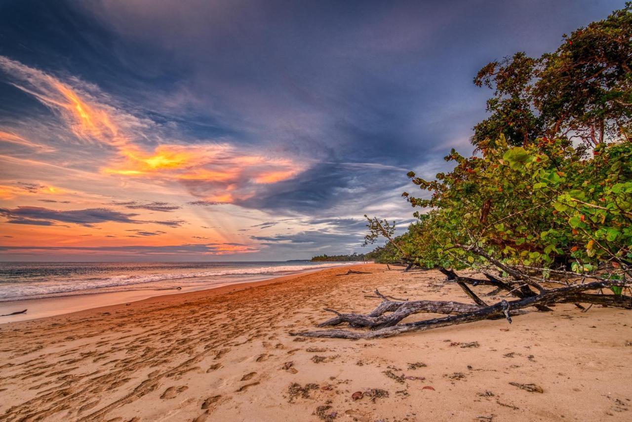 Oasis Bluff Beach Бокас-дель-Торо Экстерьер фото
