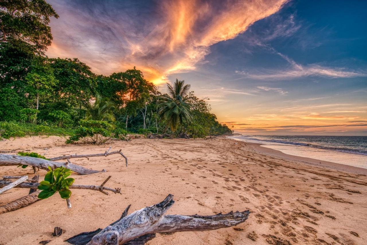 Oasis Bluff Beach Бокас-дель-Торо Экстерьер фото